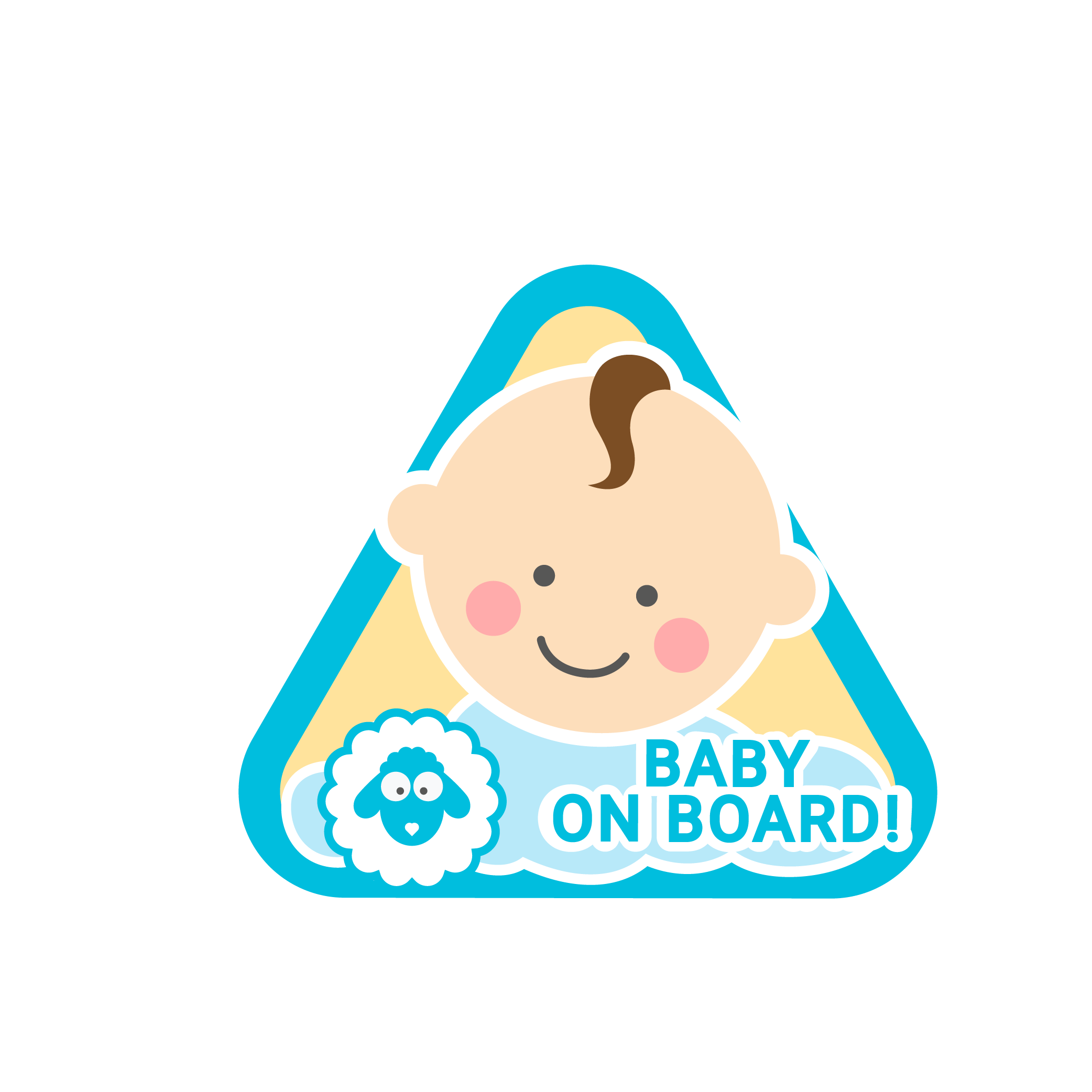 Baby on board boy